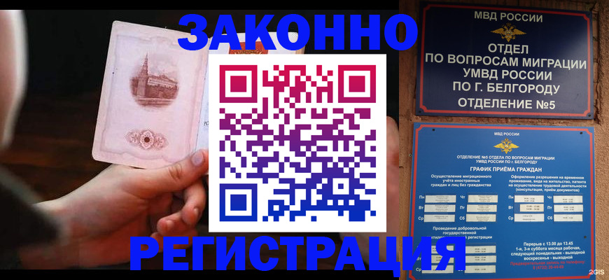 прописка 2025 в Полярных Зорях